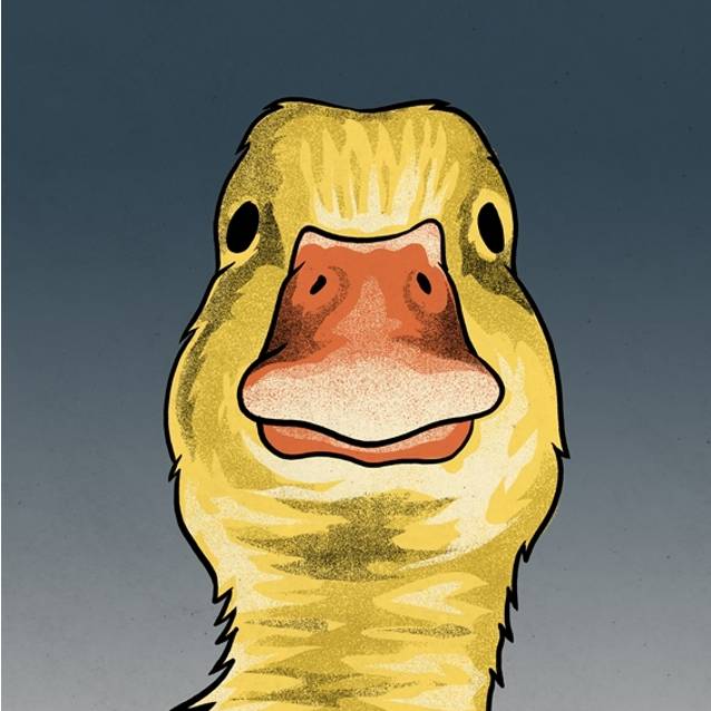 avatar of Jungi