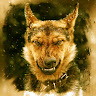 avatar of Alper TURK