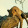 avatar of Trex3D