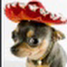 avatar of user1866251067