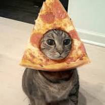 avatar of CatPizza