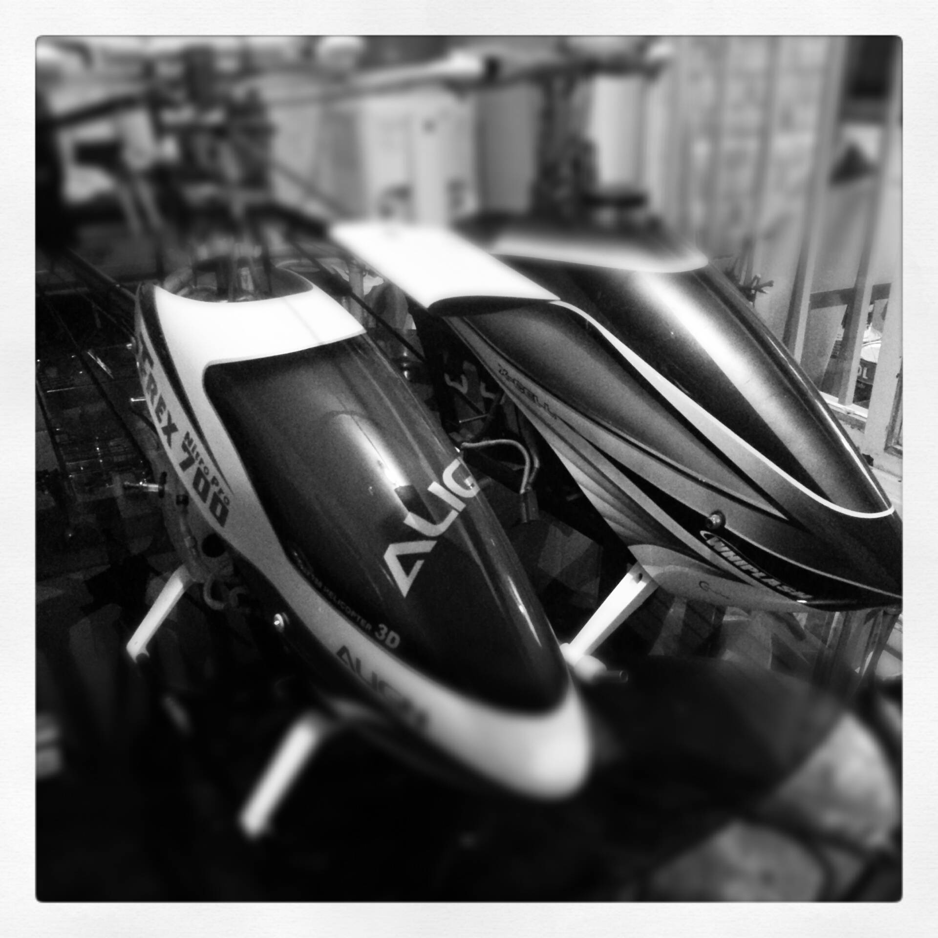 avatar of Gerard 4674