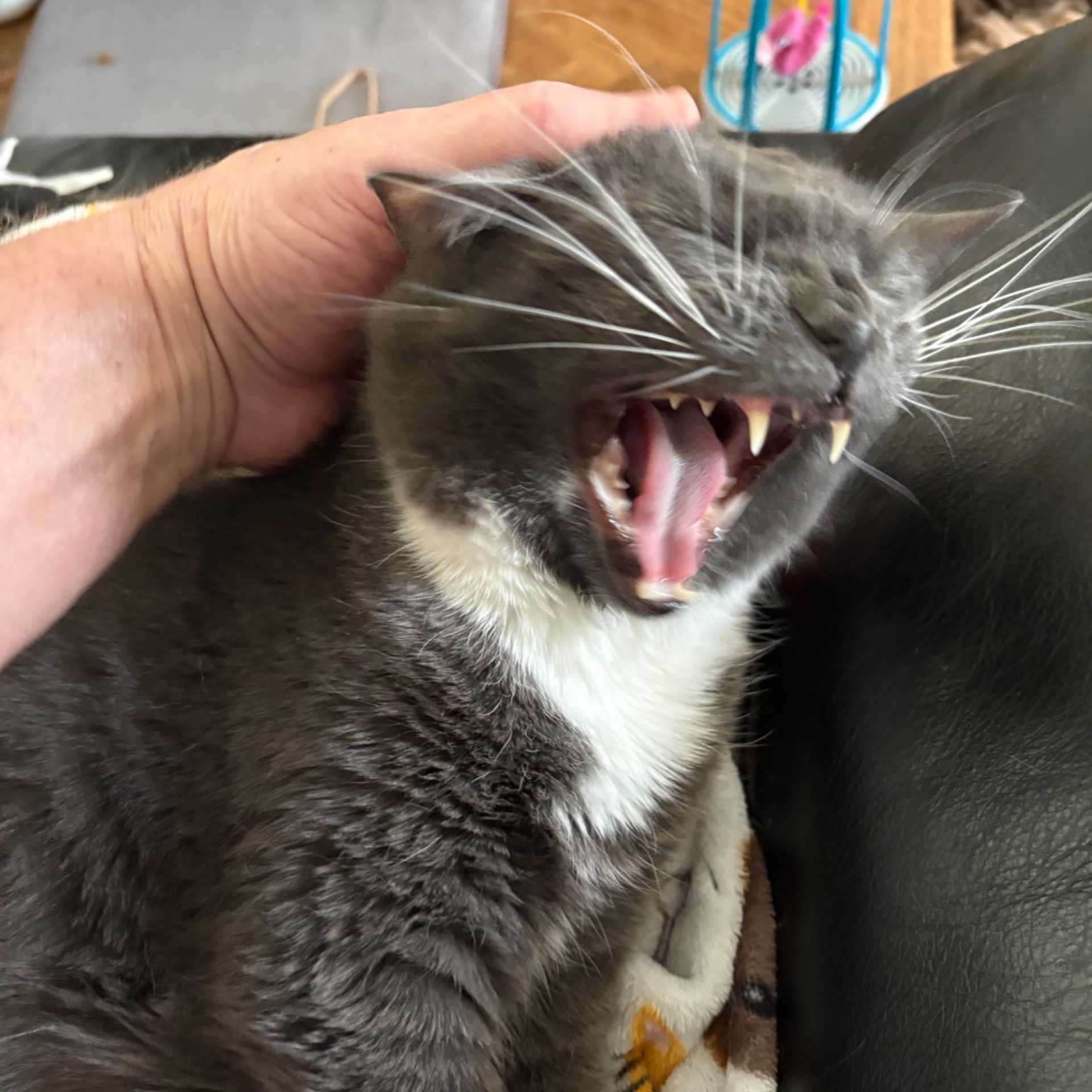 avatar of Bufordw