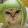 avatar of vitecd