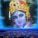 avatar of user1575663121