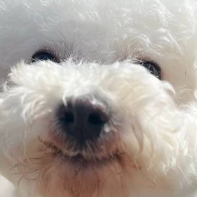 avatar of Balu722711
