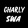 avatar of CharlySWA