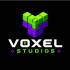 avatar of Voxel studio