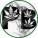 avatar of PerfectBake420