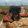 avatar of pupas_fpv