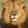 avatar of Lionking🦁