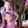 avatar of DS Pires Oficial