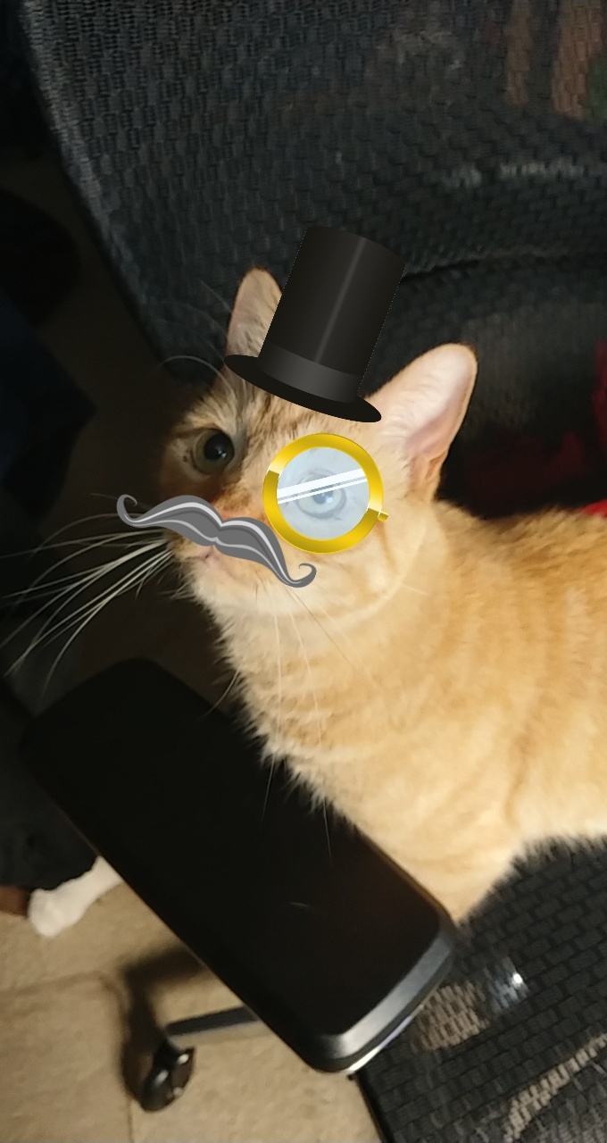 avatar of theGeekGirl72