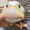avatar of Narguin