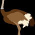 avatar of Rudi Mente