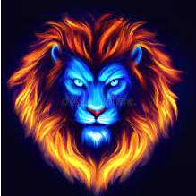 avatar of Islam Garrana