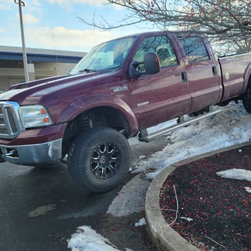 avatar of Duckshroom