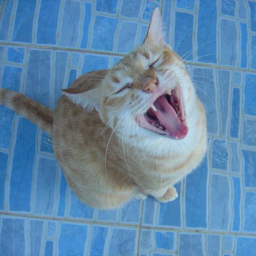 avatar of user8766840886