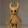 avatar of monts