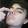 avatar of JessRendon