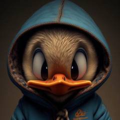 avatar of ARROW-STUDIO