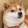 avatar of ShibaStudio 3D