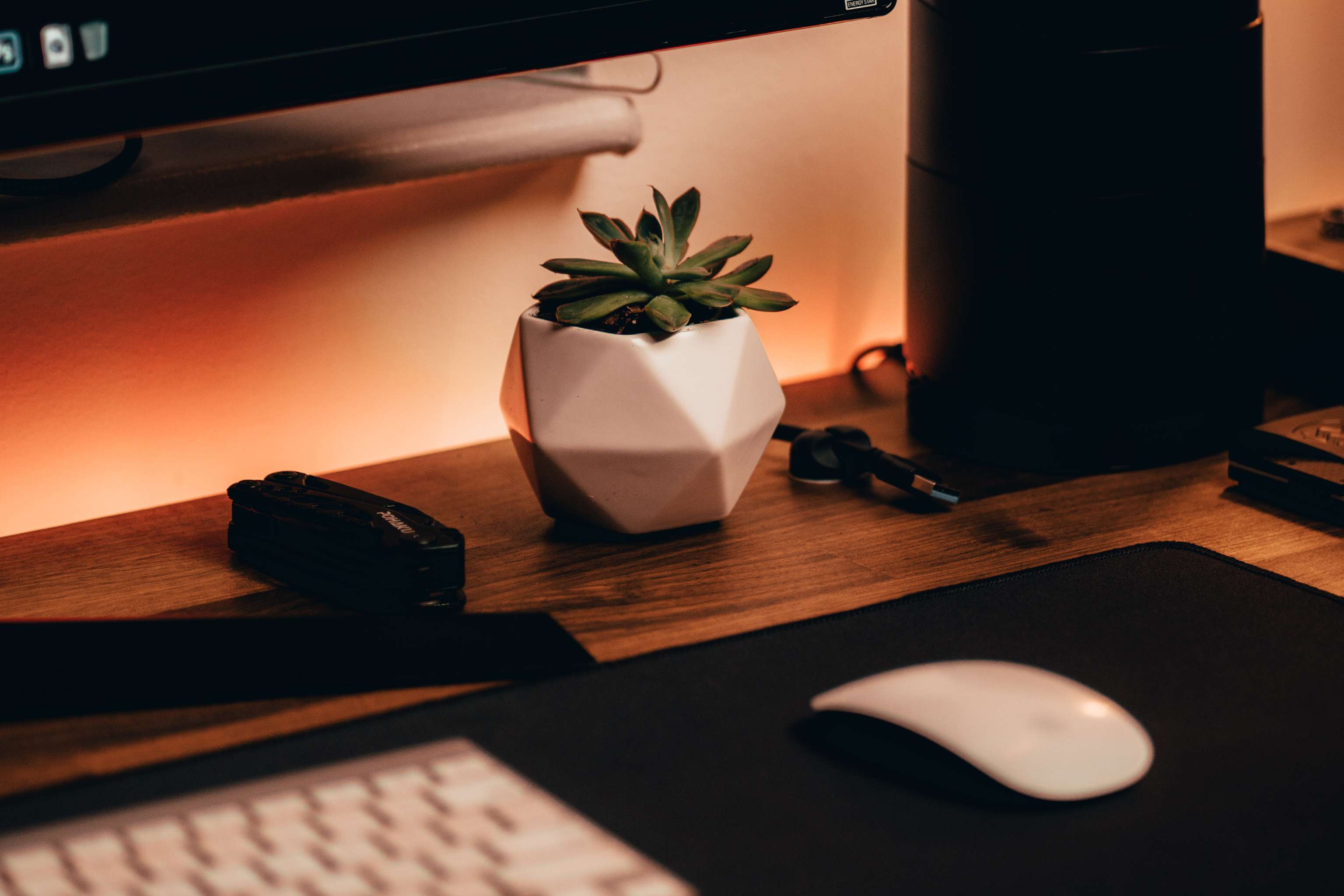 avatar of LemonCoco6985sohappy