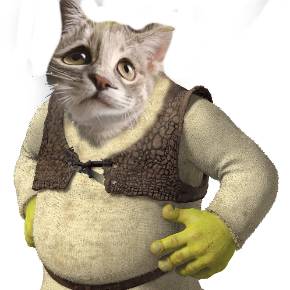 avatar of Birdmanprints