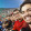 avatar of Martin Moreno