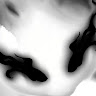 avatar of Chunky the albino lizard