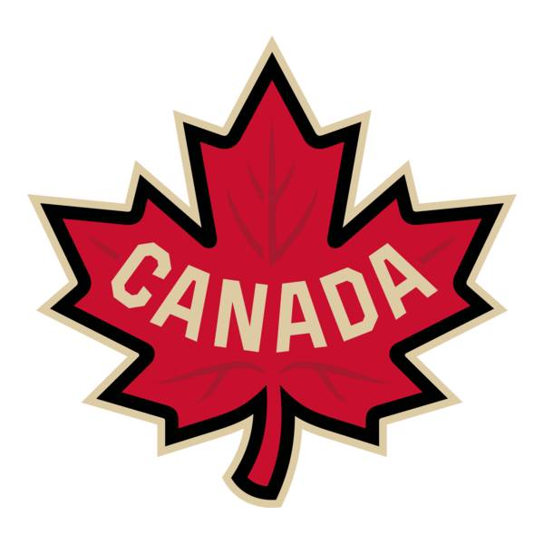 avatar of the hockey pro
