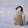 avatar of Penguinnn