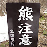 avatar of saoyas