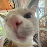 avatar of EPICxQTC17