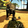 avatar of Juegos Juegos
