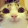 avatar of Oofber Sigma