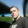 avatar of user6966587740