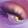 avatar of Lavendershakesheep