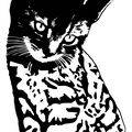 avatar of adorable_paws