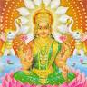 avatar of Sahil kumar Thukur