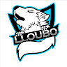 avatar of lloubo