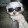 avatar of user5455771909