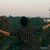 avatar of Vinxon Bhel Kro