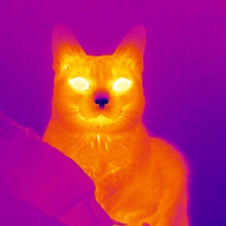avatar of IR-Cat
