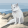 avatar of Arctic Fox 010101