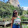 avatar of Vivianne Rodrigues