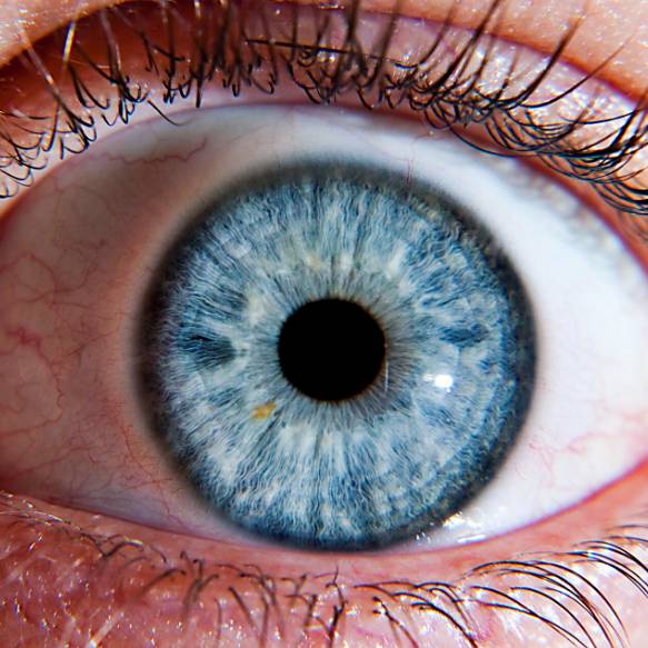 avatar of TheBarnacle