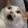 avatar of Pixel-