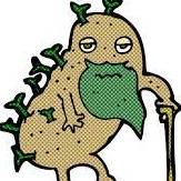 avatar of classic potato