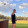 avatar of Tristyn F (TRISTYN)